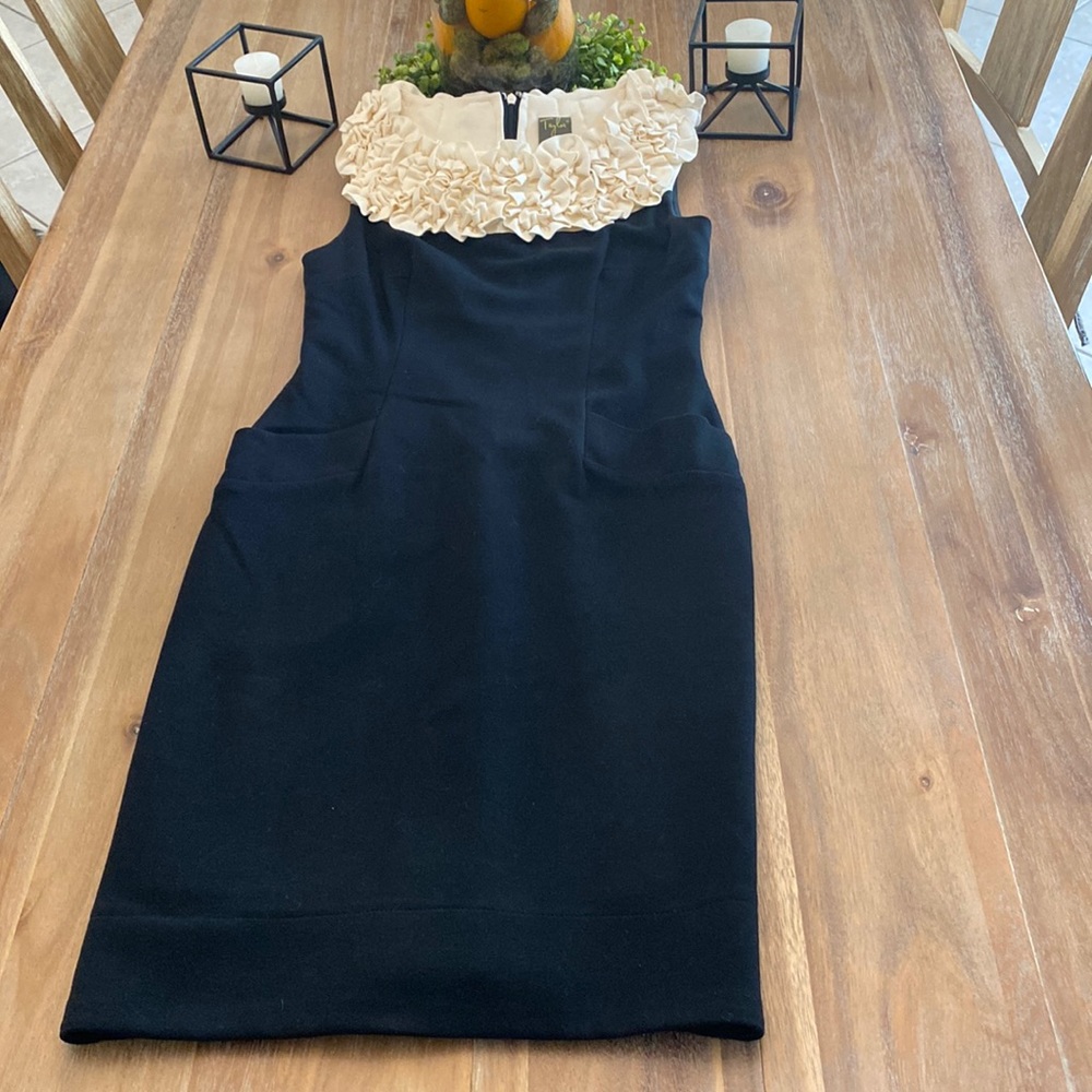 Sophisticated and fun dress